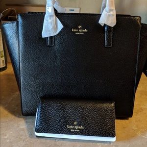 Kate space Hayden and nika set